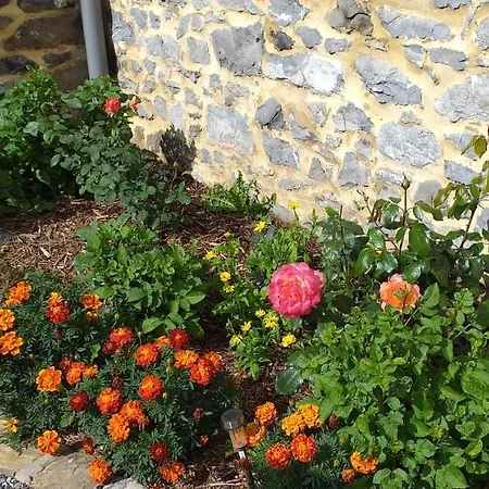 Le Rucher * Lez-Fontaine