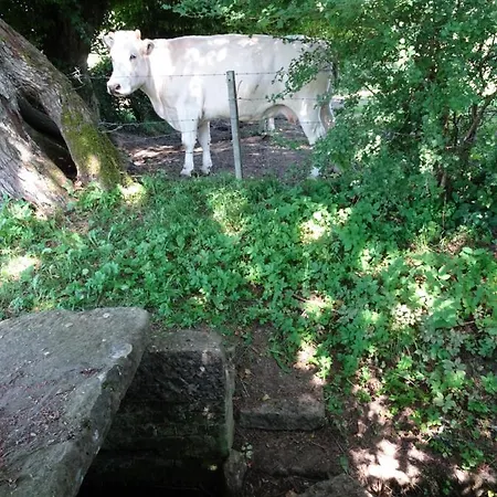 Le Rucher 別荘 Lez-Fontaine