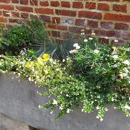 Le Rucher
