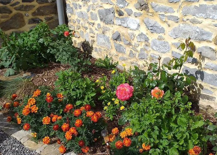 Le Rucher * Lez-Fontaine