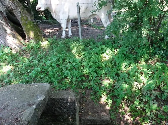 Le Rucher Casa de Férias Lez-Fontaine